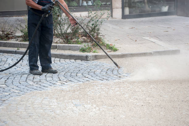 Best Animal Enclosure Cleaning  in South Brooksville, FL