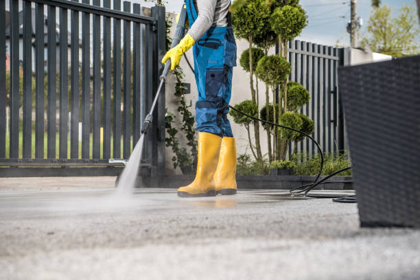 Best Dumpster Area Cleaning  in South Brooksville, FL